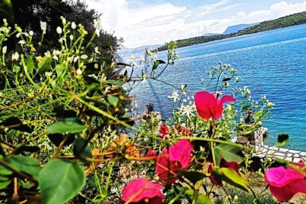 Villa Violeta Lefkada Nydri Exterior foto