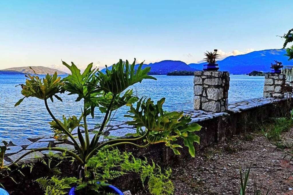 Villa Violeta Lefkada Nydri Exterior foto