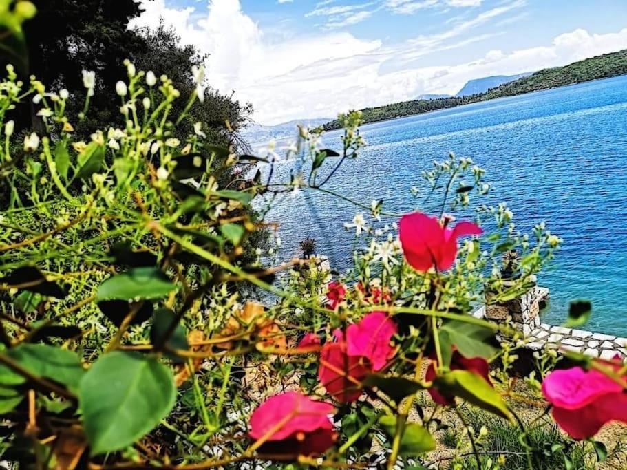 Villa Violeta Lefkada Nydri Exterior foto